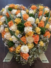 thumbnail_IMG_1497.jpg
